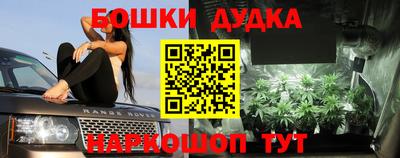 герыч Дубна