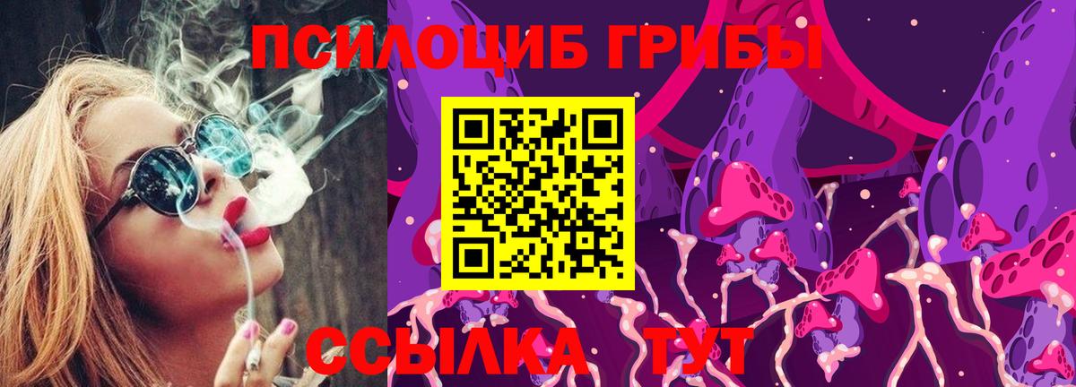 Галлюциногенные грибы Cubensis  Галлюциногенные грибы прущие грибы  Мариинск  Вход с VPN 